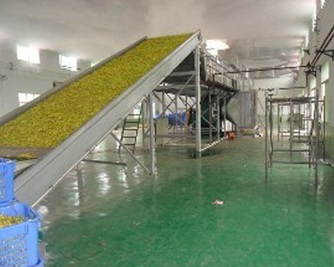 小猪视频下载官网APP批发 小猪视频下载官网APP批发